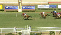 Miss Warny Steps Out As An Improving 3rd Placed Getter At The Wagga Meeting