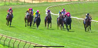 Shazza Arrives In Third After The 2nd At Benalla
