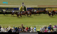 Savvy Acquisition Grabs A Second Placing At Gundagai