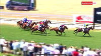 Great Run On Debut For Molly Magic Finishing 2nd Under Lachlan King
