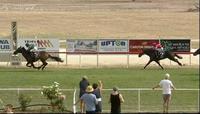 Two Stable Runners Compete At Corowa On Tuesday