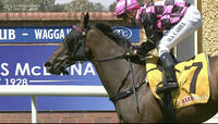 Wyangle Steps Into Metro Grade Under Dean Yendall On Saturday