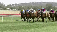 Savvy Acquisition Grabs A Third Placing At Wagga Under Jordan Mallyon