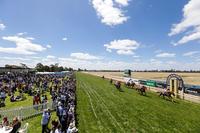 Shazza To Compete At Bet365 Echuca On Thursday