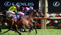 Ruby Skye Goes Down Narrowly At Flemington