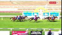 Miss Sharp Arrives In Third After Race 5 At Bendigo