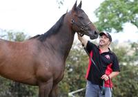 The Widdison Yard To Saddle Up For Moonee Valley Friday Night