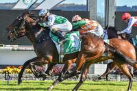 ELLE OF A ROUGH RESULT AS 150/1 SHOT LOBS AT GOSFORD