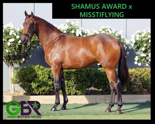SHAMUS AWARD X MISSTIFLYING