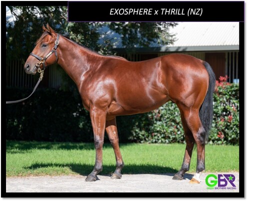 Exosphere Colt