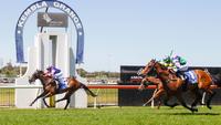 Three from last four for Bella Vino