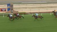 Sebring Express Targets Inglis Classic
