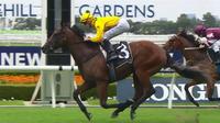 Falconic books Magic Millions spot
