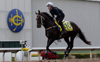 Rebel Dane right for another upset win in Hong Kong Sprint