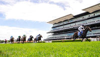 Manhattan Rain's She Will Reign Blows Them Away in Inglis Nusery