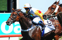 Testashadow Sneaks Home in MM Cup Thriller