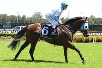 Weight's right for Cosmic Cameo at Farm