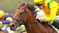 Portelli Power at Magic Millions