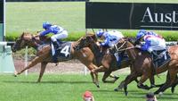 Gary Portelli continues summer of winners with Improvement