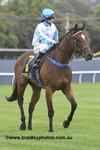 Sebring Express to be closer to speed