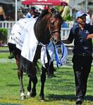 Testashadow Has His Moment in the Sun