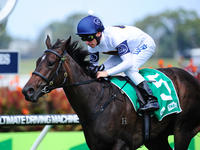 Slipper To Slipper … Darby Reigns