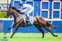 Will Slipper fit sizzling She Will Reign?