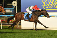 Rebel Dane Ready For Last Hurrah