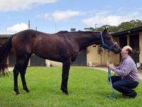 Portelli pair poised to present king of the kids with his crown