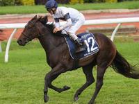 She Will Reign Takes Owners On Fairytale Ride