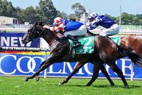 Will Distance Doubts Get The Bullet?