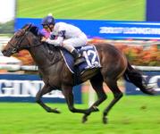 Portelli Hoping For Everest Second Chance
