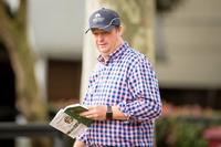 Impressive pair of Easter colts for Portelli Racing