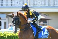 Nicci's Gold breaks through for Gold Edge connections