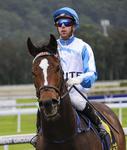 Vincero & Brenton Avdulla make undefeated partnership