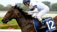 Moir Stakes 2017: Gary Portelli snaps up Craig Williams