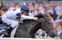 McEvoy picks up She Will Reign mount
