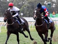 The Everest: Corey Brown to get grip on favourite