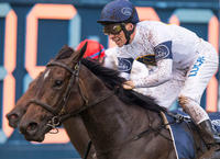 Corey Brown rapt to ride She Will Reign
