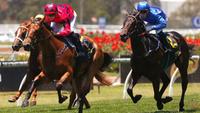 Secret Lady sinks Golden Gift plunge and heads to the Magic Millions