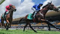Gary Portelli hoping Secret Lady could be the Golden Gift