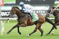 Testashadow spot on for Villiers