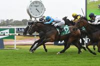 Festival Stakes Won In The Shadows