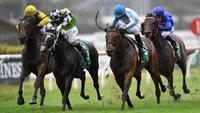 Villiers Stakes hope Testashadow keeps getting under Gary Portelli's guard