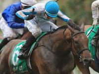 Portelli, Melham join forces again with Villiers hope Testashadow
