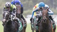 Portelli's Rosehill Winners Saturday 2nd December