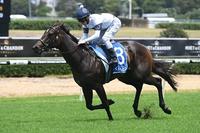 Change Of Tack for She Will Reign