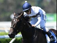 Melham weights on She Will Reign