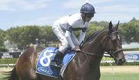 Reign stretches legs at Farm