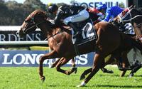Nicci’s Gold gives Gary Portelli consolation